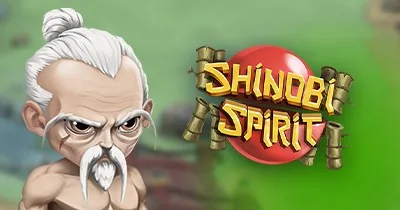 Shinobi Spirit